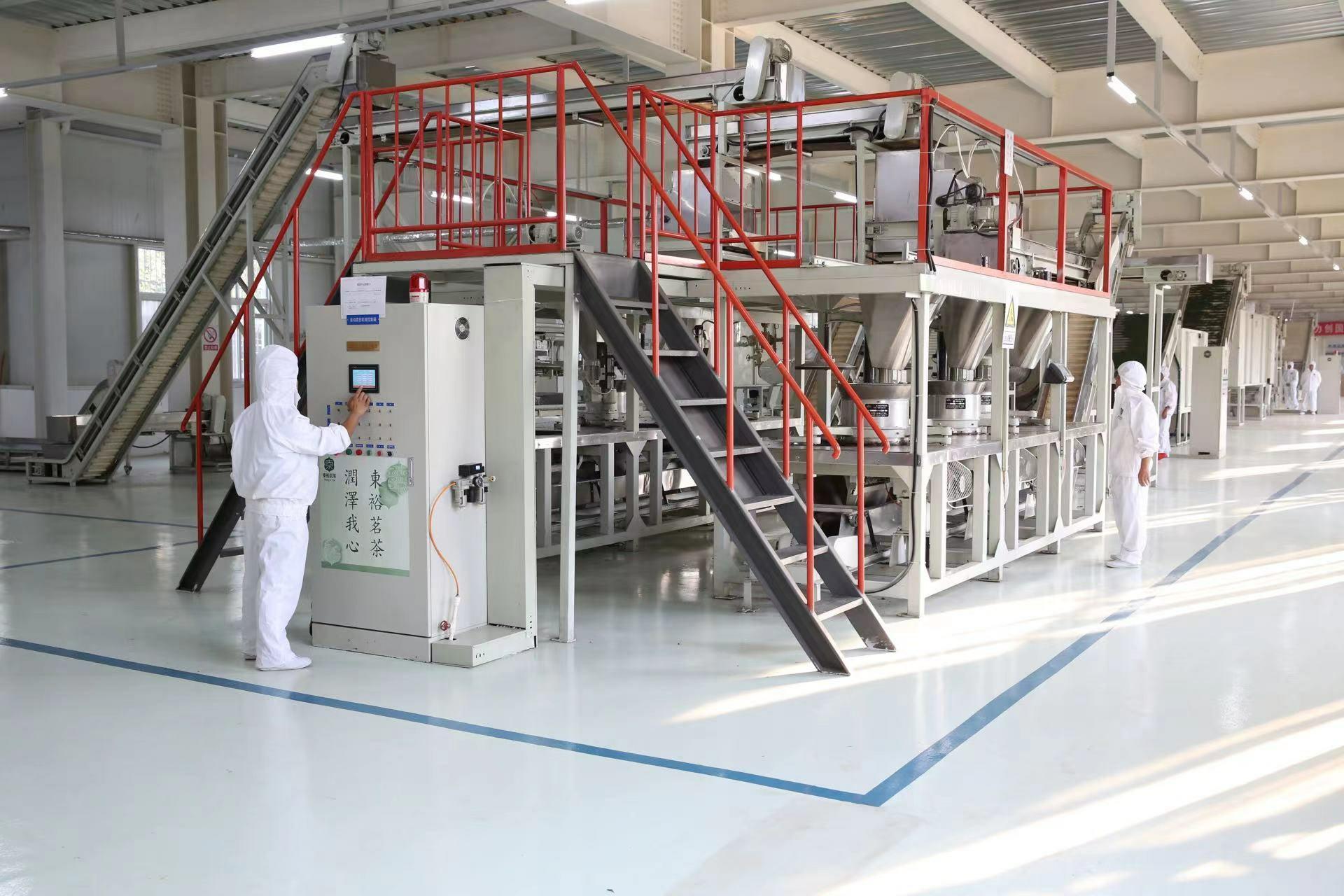 2023中國最美茶鄉西鄉漢中仙毫開采，拉開陜西春茶上市序幕