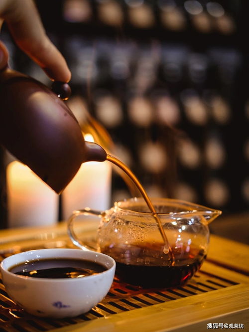 老茶溯源 一片葉子的時光之旅