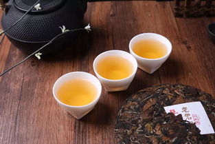 坐，請坐，請上坐；茶，敬茶，敬香茶——淺談《八方茶語》中的待客之道與人生境界