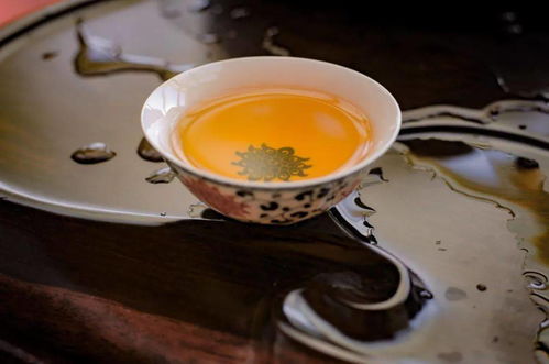 好茶的這些共性，你知道嗎？