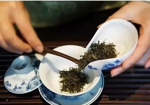 一葉知味 論投茶中的門道與藝術