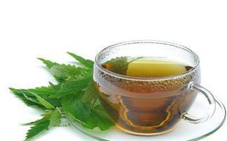 糧香入盞 探秘“糧食茶”的獨特風味